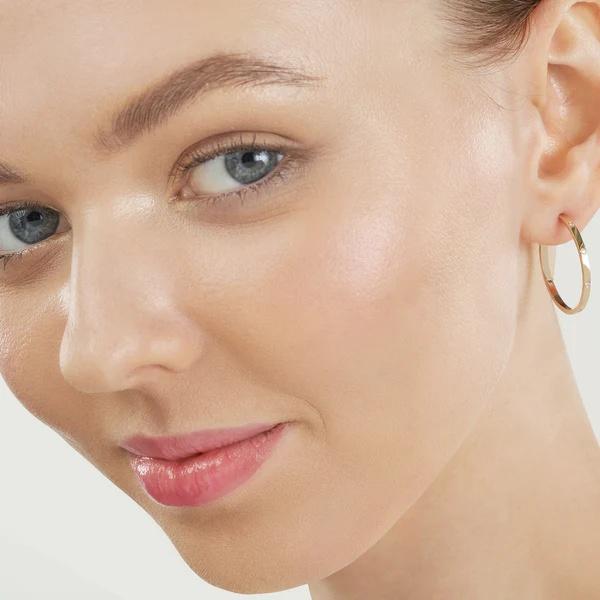 Burnished Diamond Hoops